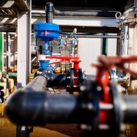 WhatsApp Image 2023-10-03 at 16.10.07 (1)